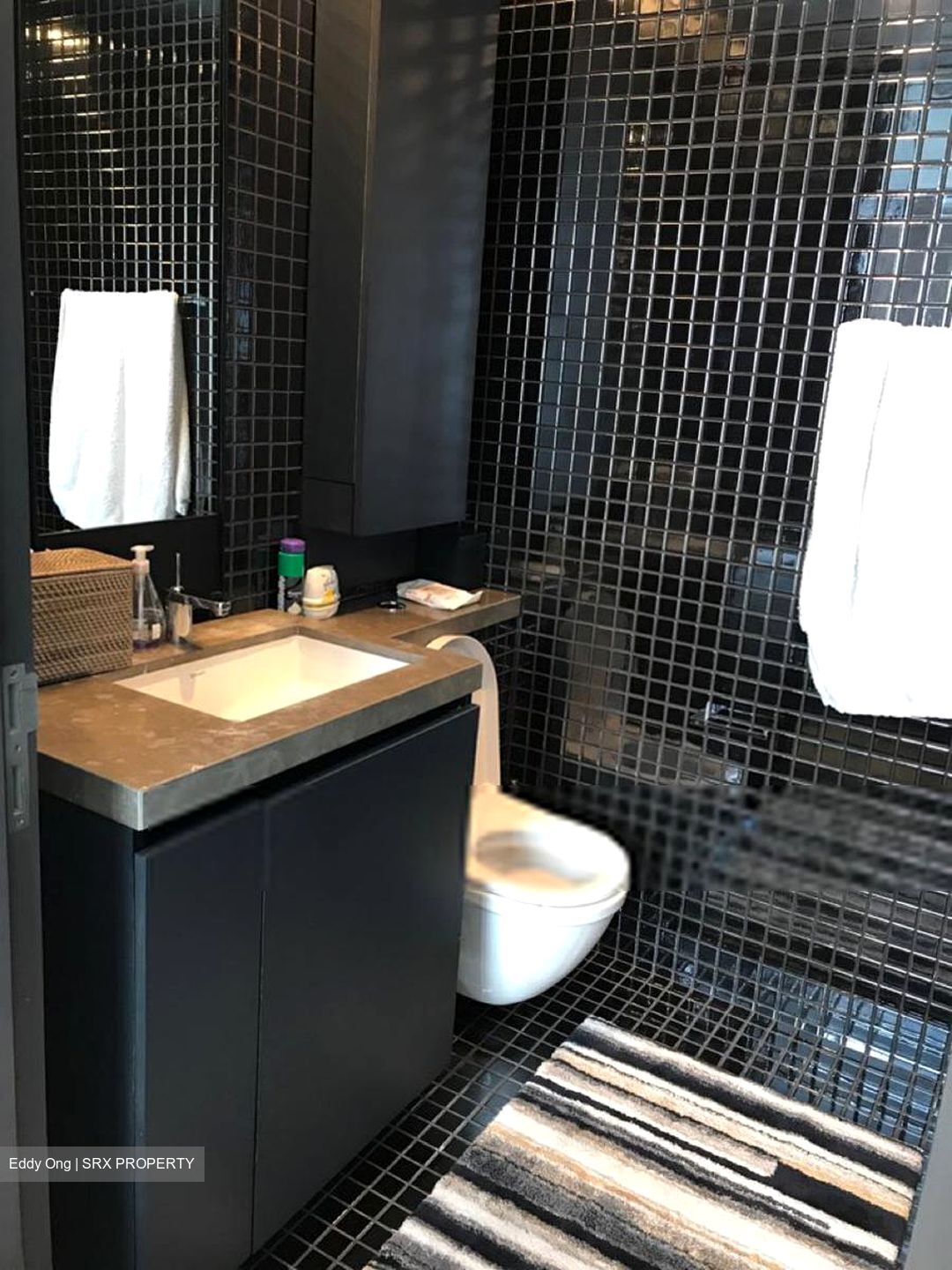 Skysuites@Anson (D2), Apartment #290679361